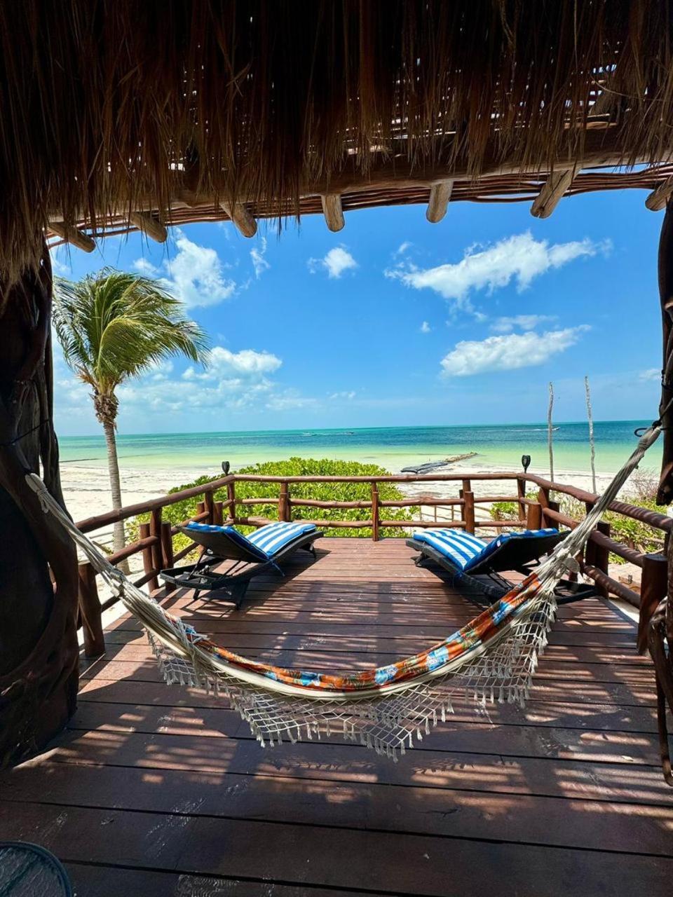 Dk Luxury Ocean Front Villa - Adults Only Isla Holbox Exteriör bild